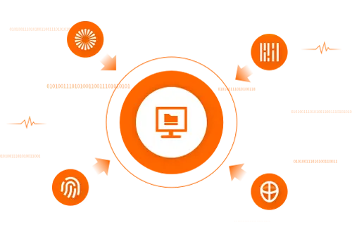 Biometric Identification Solutions