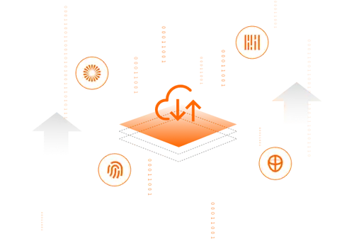 Biometrics In Criminal Justice