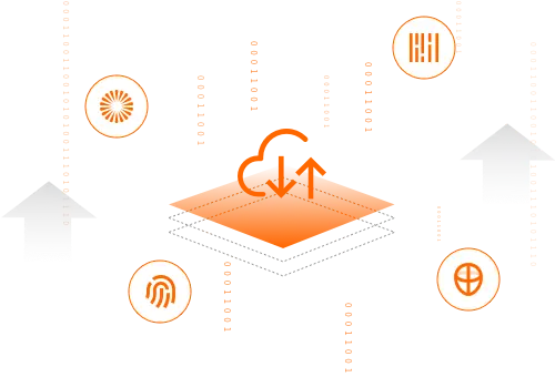 The Use Of Biometrics In Schools